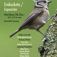 Amurrio acoge la exposición ‘Vida en los bosques’ hasta el 23 de enero en La Casona